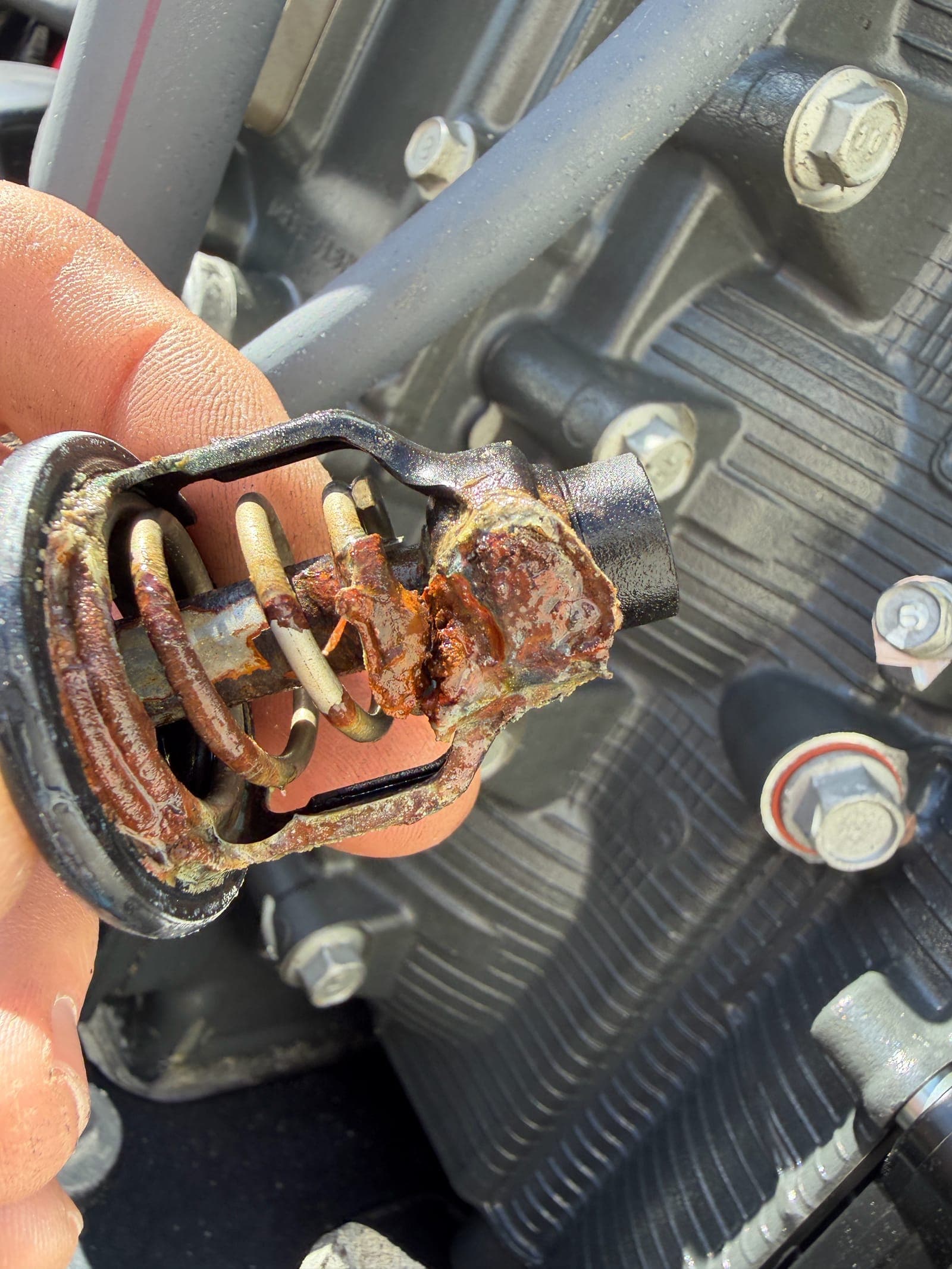 Heavily corroded marine thermostat pulled from a Tampa Bay outboard at 100 hours, showing how saltwater accelerates internal wear